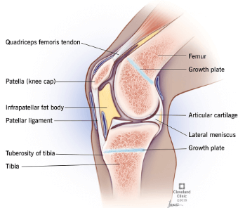 What Is Causing That Clicking Sound In Your Knee Respire Physical Therapy