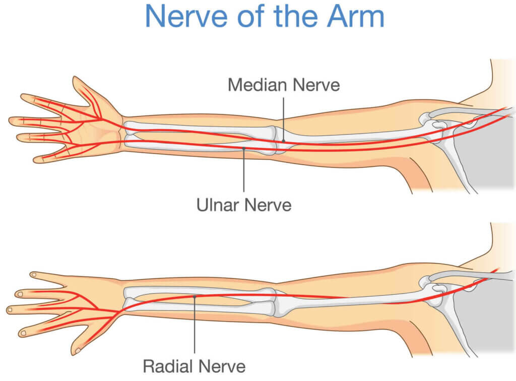 Numbness in The Hand? You Could be Experiencing Nerve Entrapment – Respire  Physical Therapy